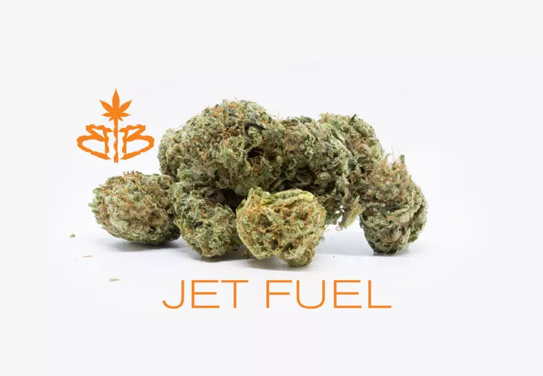 Jet Fuel (Bagged Buds)