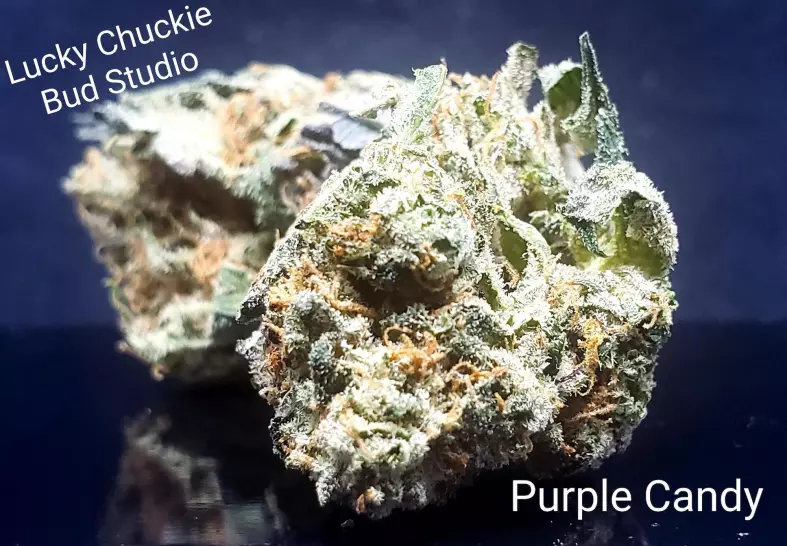 Purple Candy (Lucky Chuckie)