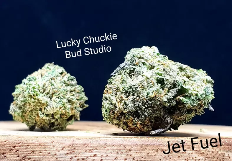 Jet Fuel (Lucky Chuckie)