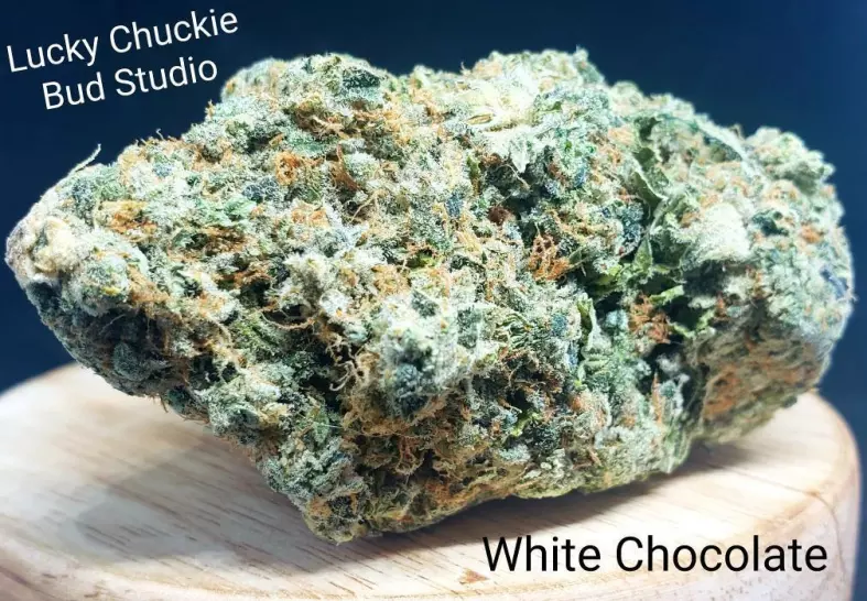 White Chocolate (Lucky Chuckie)