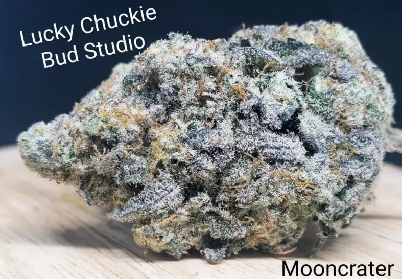Mooncrater (Lucky Chuckie)