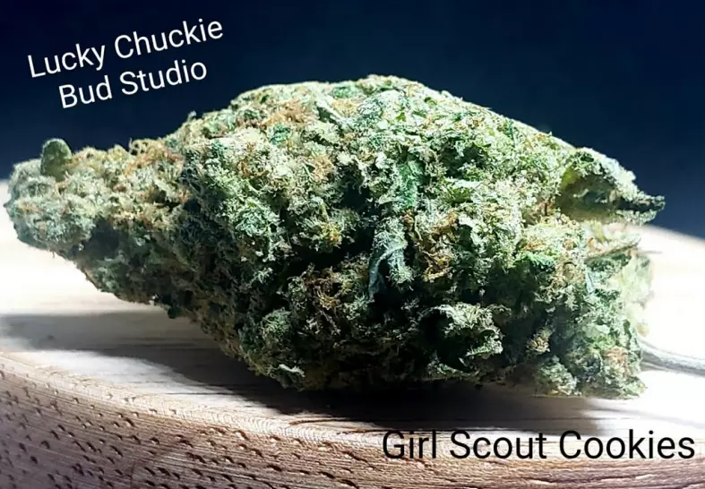 Girl Scout Cookies (Lucky Chuckie)