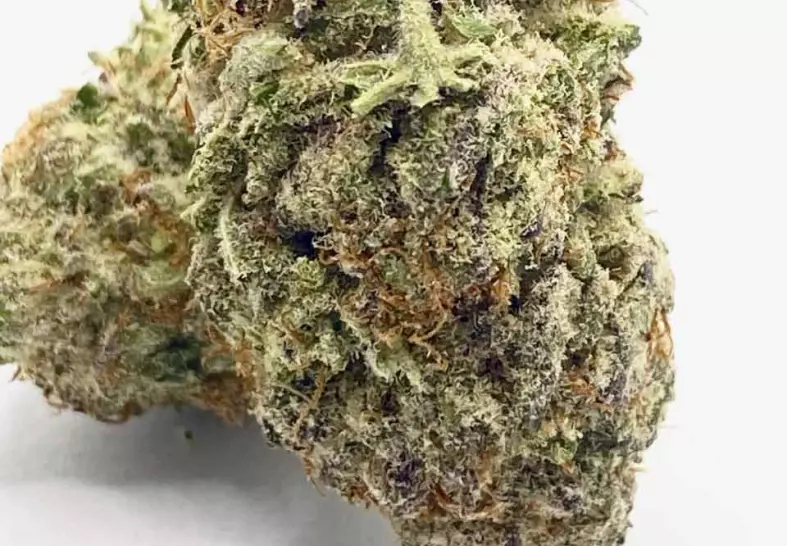 White Gummy (Select Co-Op)