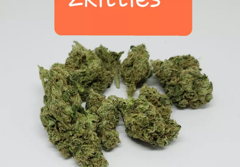 Zkittles (Bagged Buds)