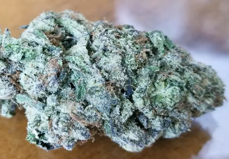 Purple Punch (Spaced Out DC)
