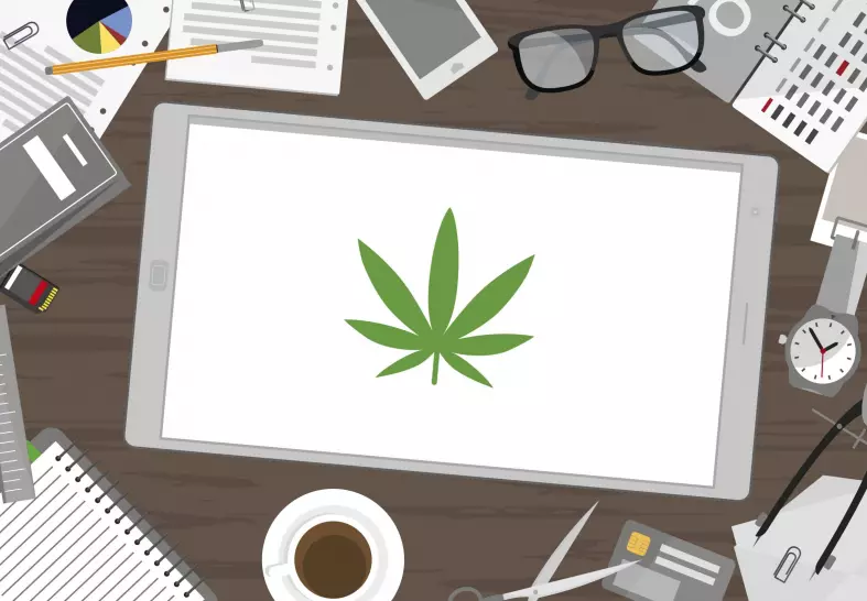 4 Key Ways to Stay Productive as a Stoner