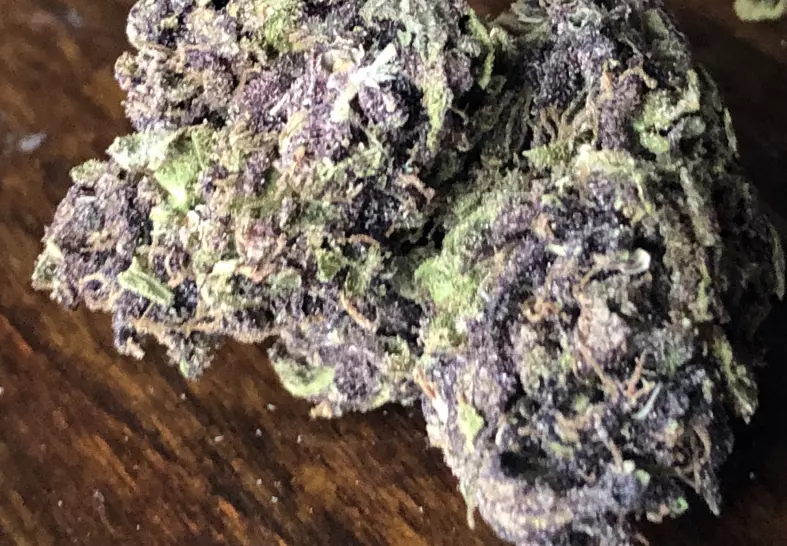 Blueberry Muffin (Select Co-Op)