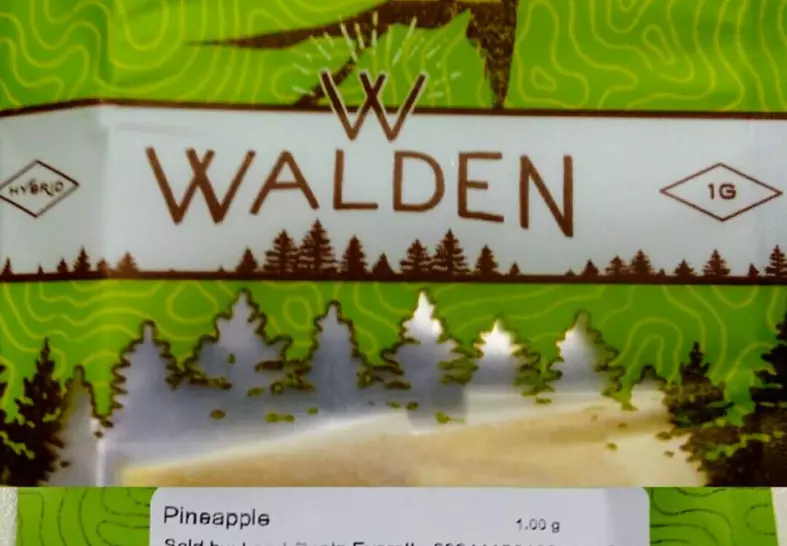 Walden Pineapple BHO from Local Roots