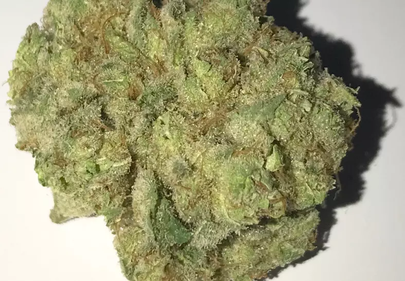 Sour Cheese OG (Diamond City Delivery)