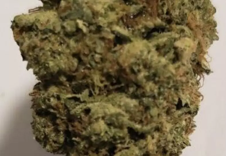Mimosa (Capitol Buds Delivery)