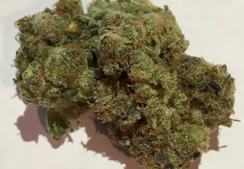 GMO Cookies (Baked DC)