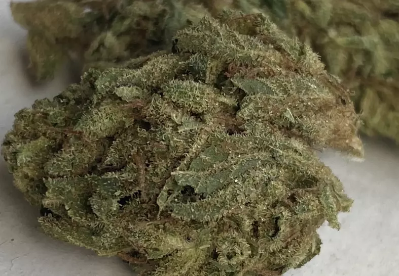 Chemdawg (Select Co-Op)