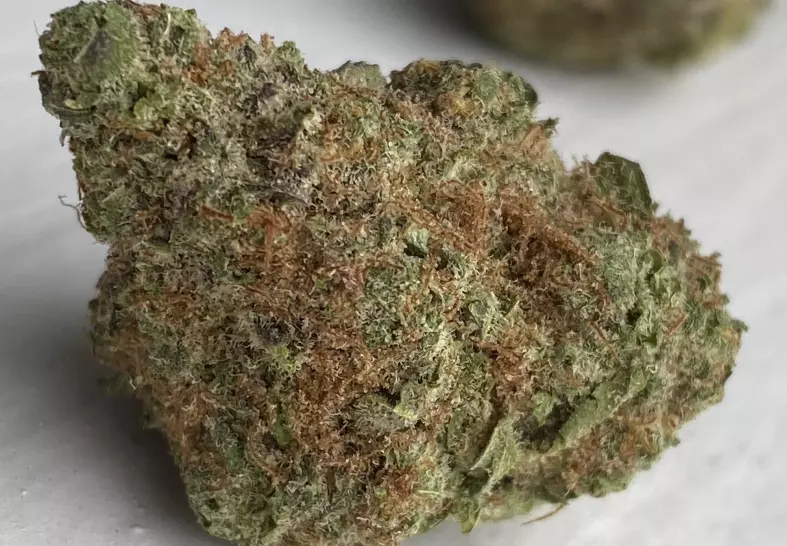Blueberry Muffin (Baked DC)