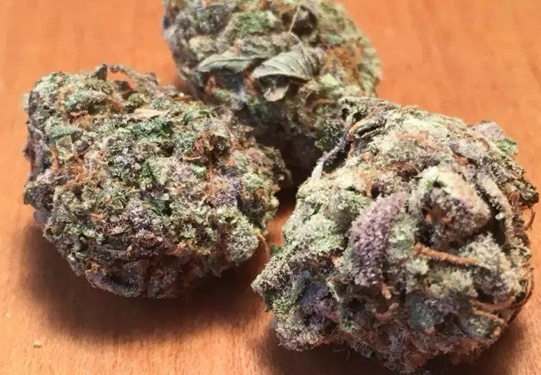 Sherbet Cookies (Canamelo)