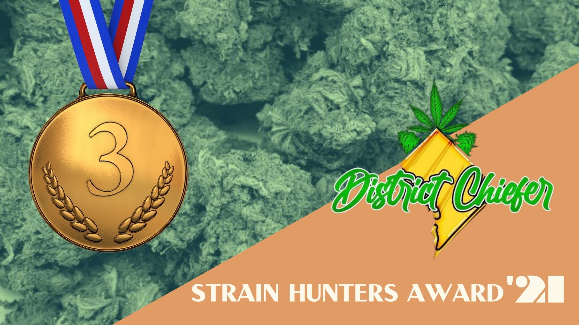 strain hunters 2021 district chiefer